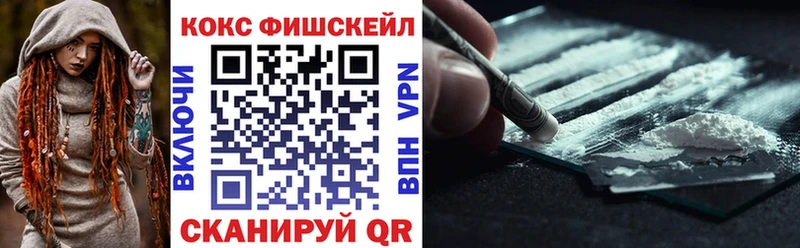 Купить закладки  Тавда  COCAIN FishScale 