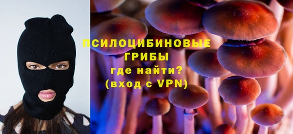 спиды Козловка