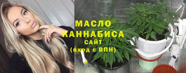 гидра Кодинск