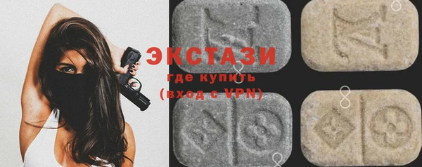 гидра Кодинск