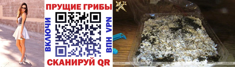 Галлюциногенные грибы GOLDEN TEACHER  Купить закладки  Тавда 